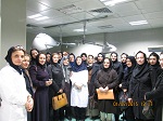 یك ماما / یك مادر